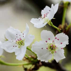 国产男女无套✅免费网站粉色

